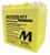 MotoBatt MBTX30U 34Ah 440 CCA AGM Powersports Battery replaces Y60N24 Y60N30 12N24 YIX30 52515 53030 EXT30 PC925