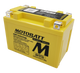 MotoBatt MBTZ14S 11.2Ah 190 CCA AGM Battery bundle with MotoBatt PDCT1 12V/6V 1A Charger