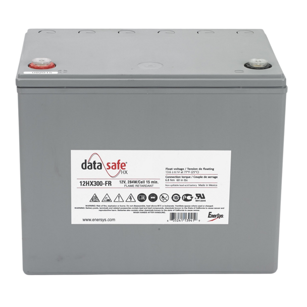 Enersys DataSafe 12HX300-FR 12V Battery with Hardware Pack HW867500 (Group 24)